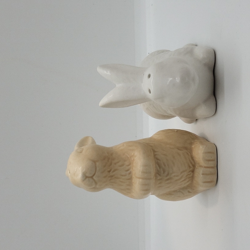 Rabbit-S&P Shakers
